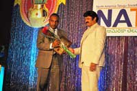 NATS Telugu Sambaralu 2013 Photos